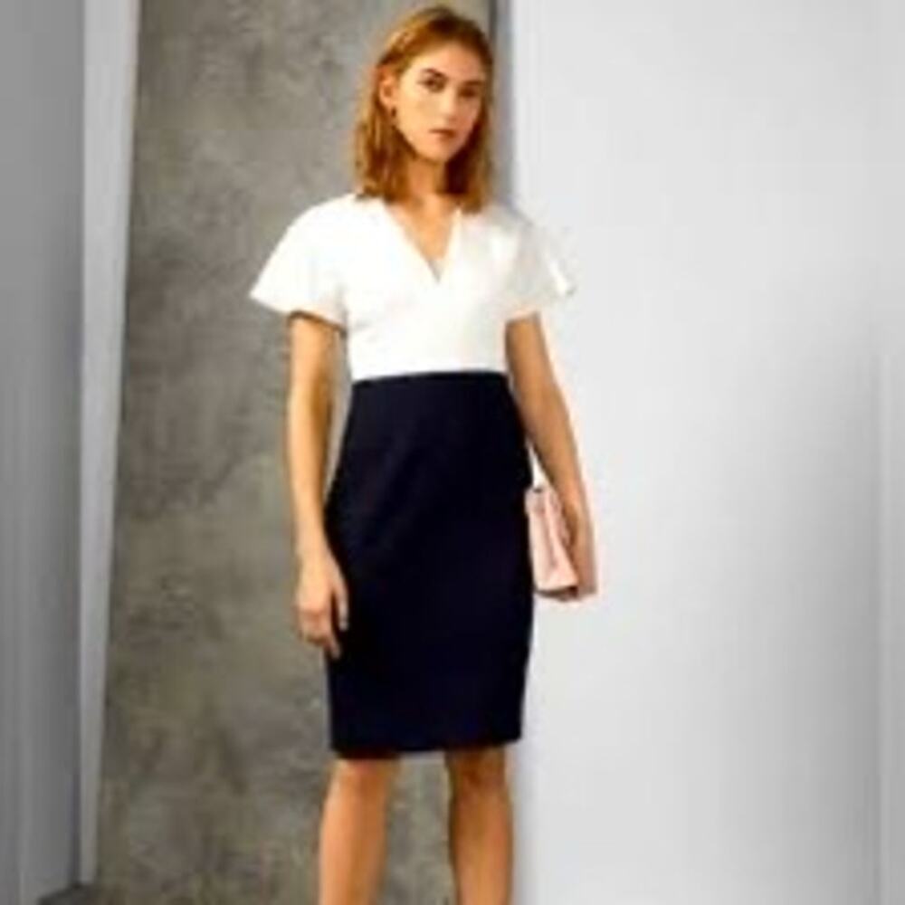 Ted Baker working title reemadd colorblock sheath dress size 2